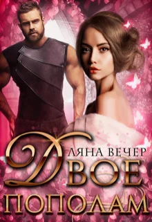 Обложка Двое пополам