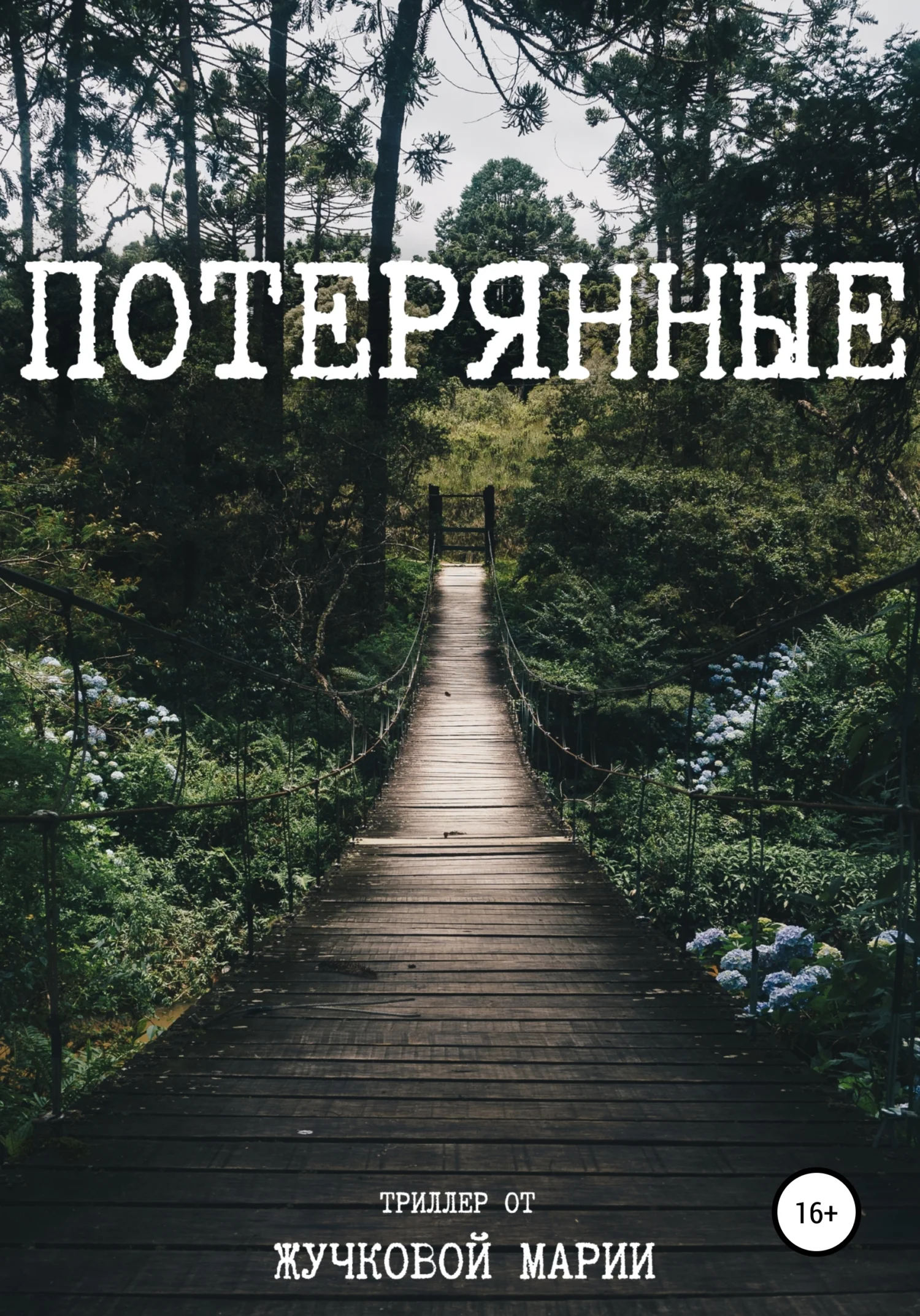 Обложка Потерянные
