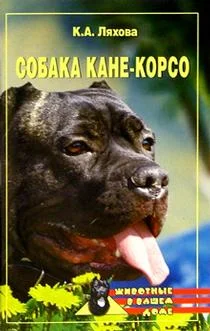 Обложка Собака Кане-Корсо