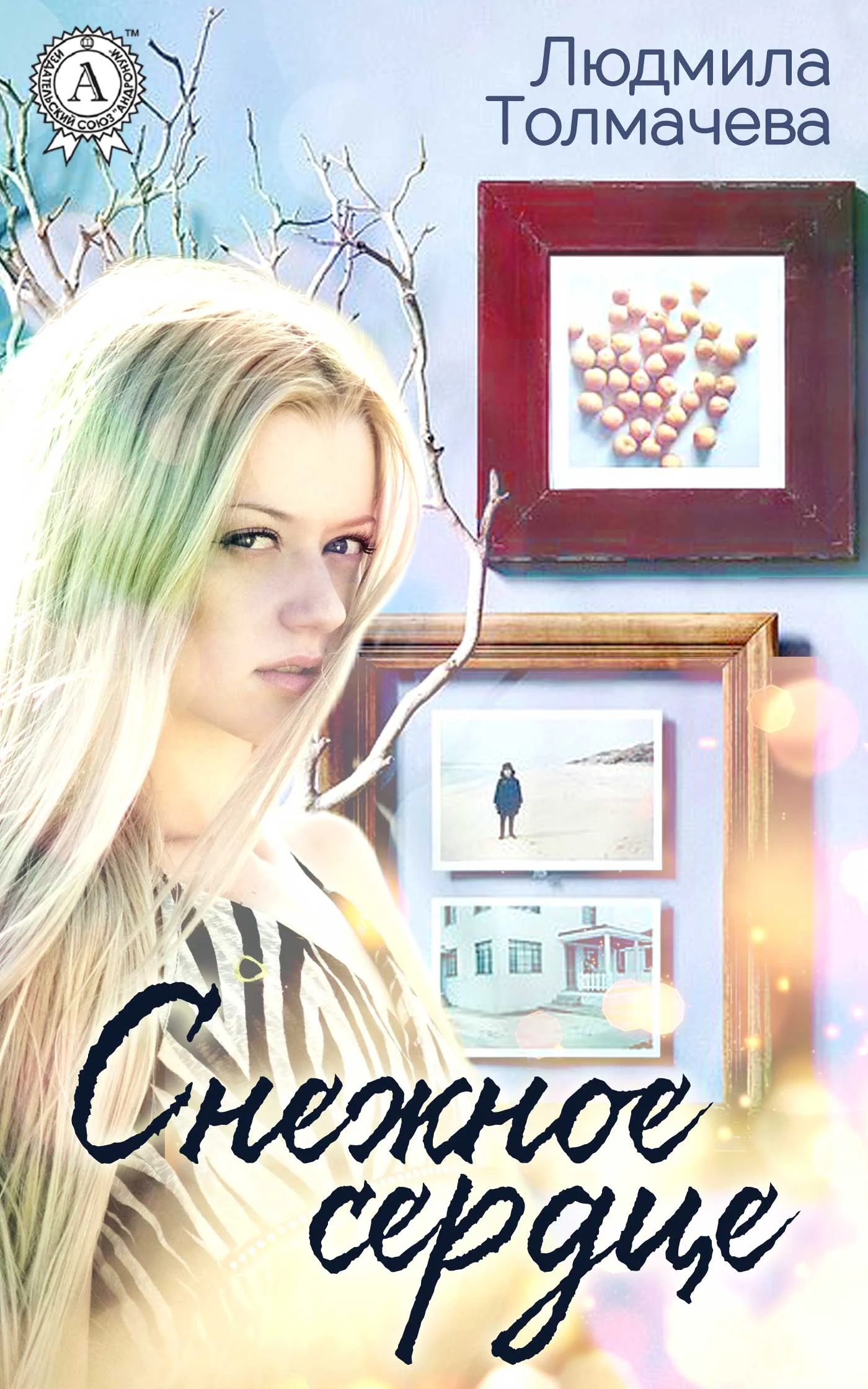 Обложка Снежное сердце