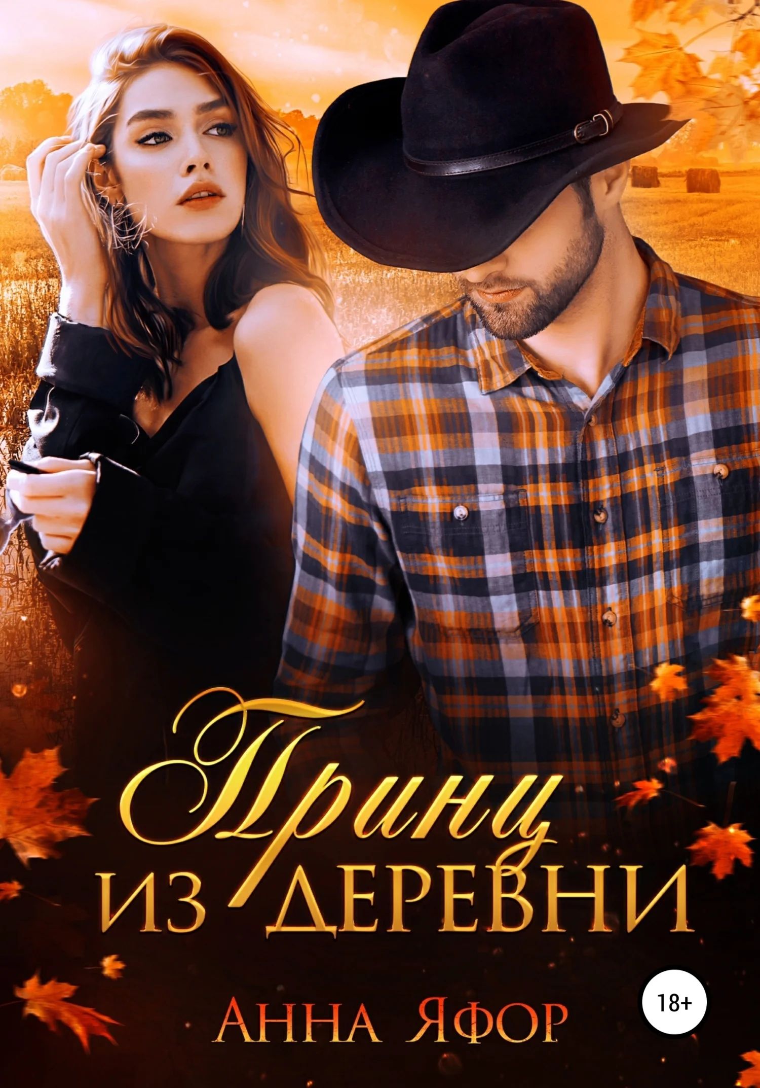 Обложка Принц из деревни