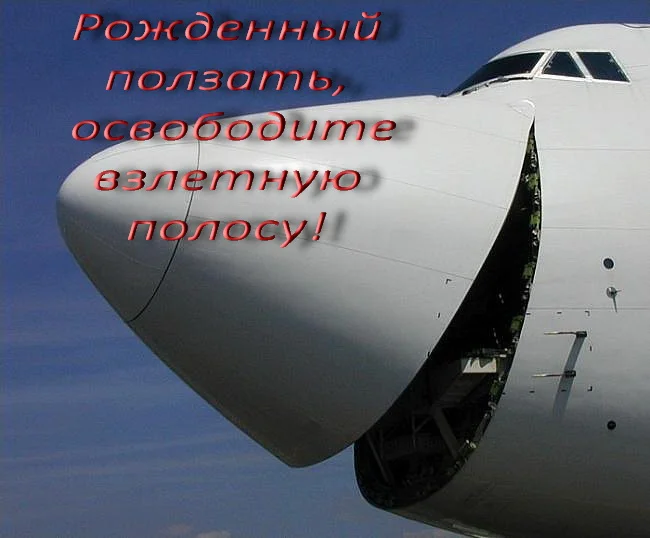 Обложка Рожденный ползать, освободите взлетную полосу