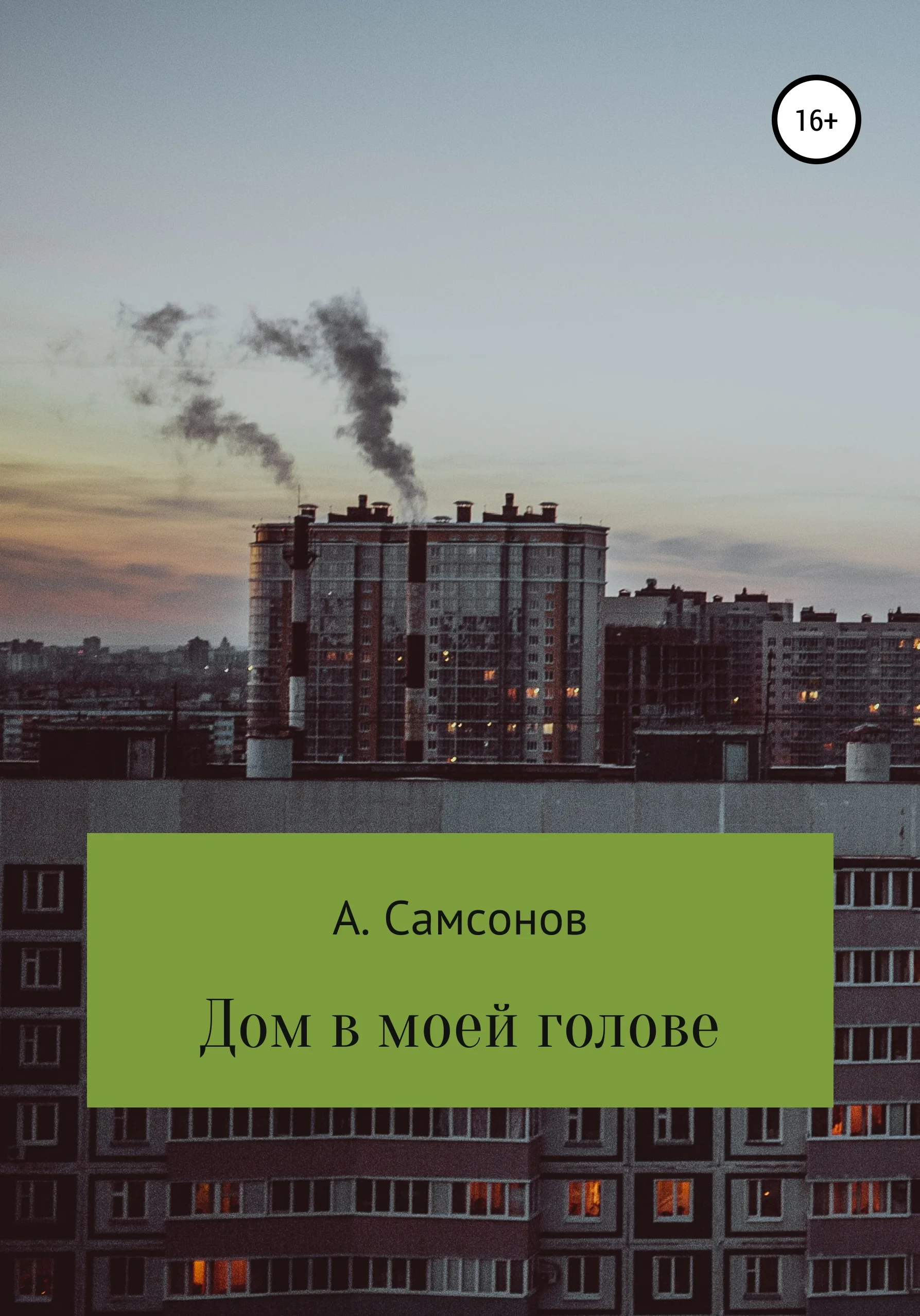 Обложка Дом в моей голове