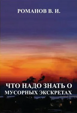 Обложка Что надо знать о мусорных экскретах