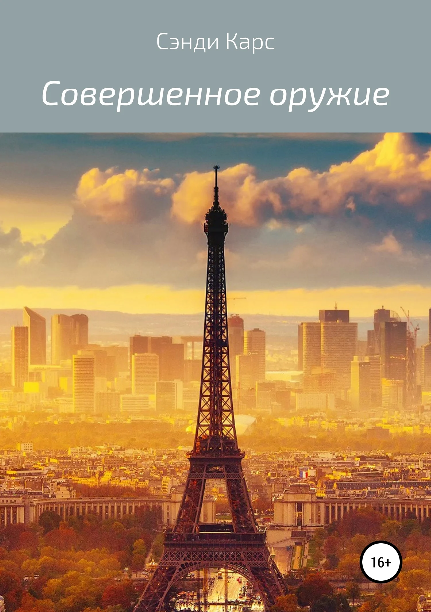 Обложка Совершенное оружие. Сэнди Карс