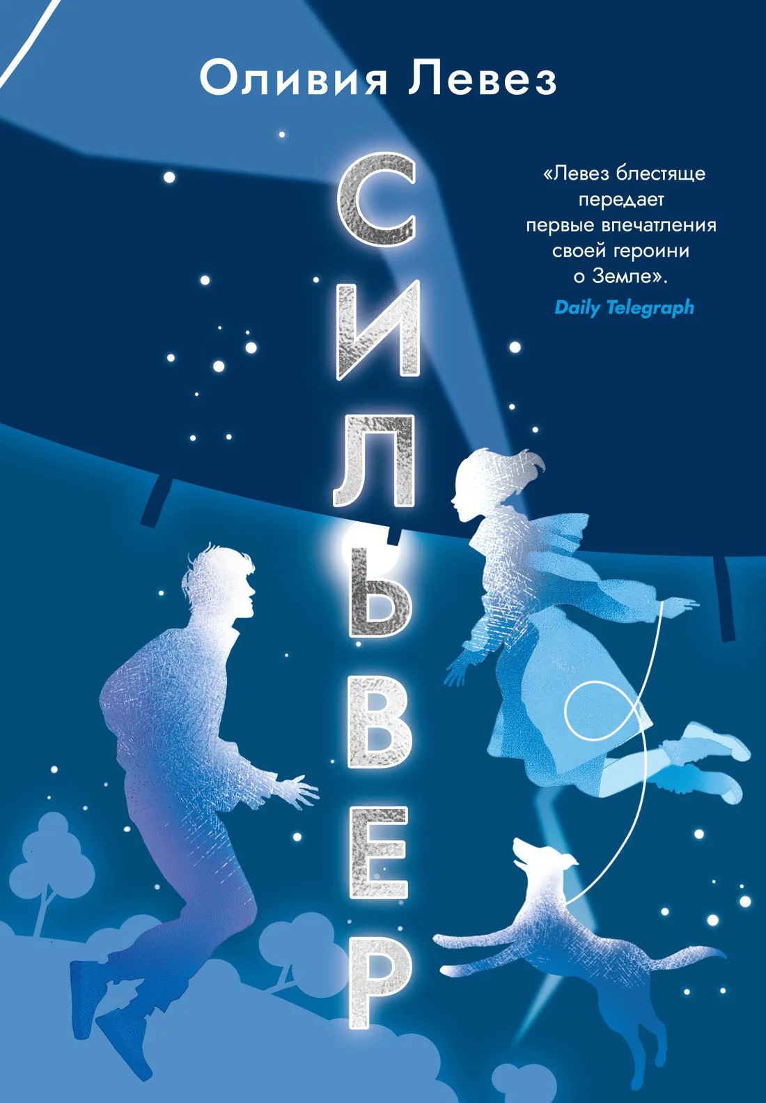 Обложка Сильвер