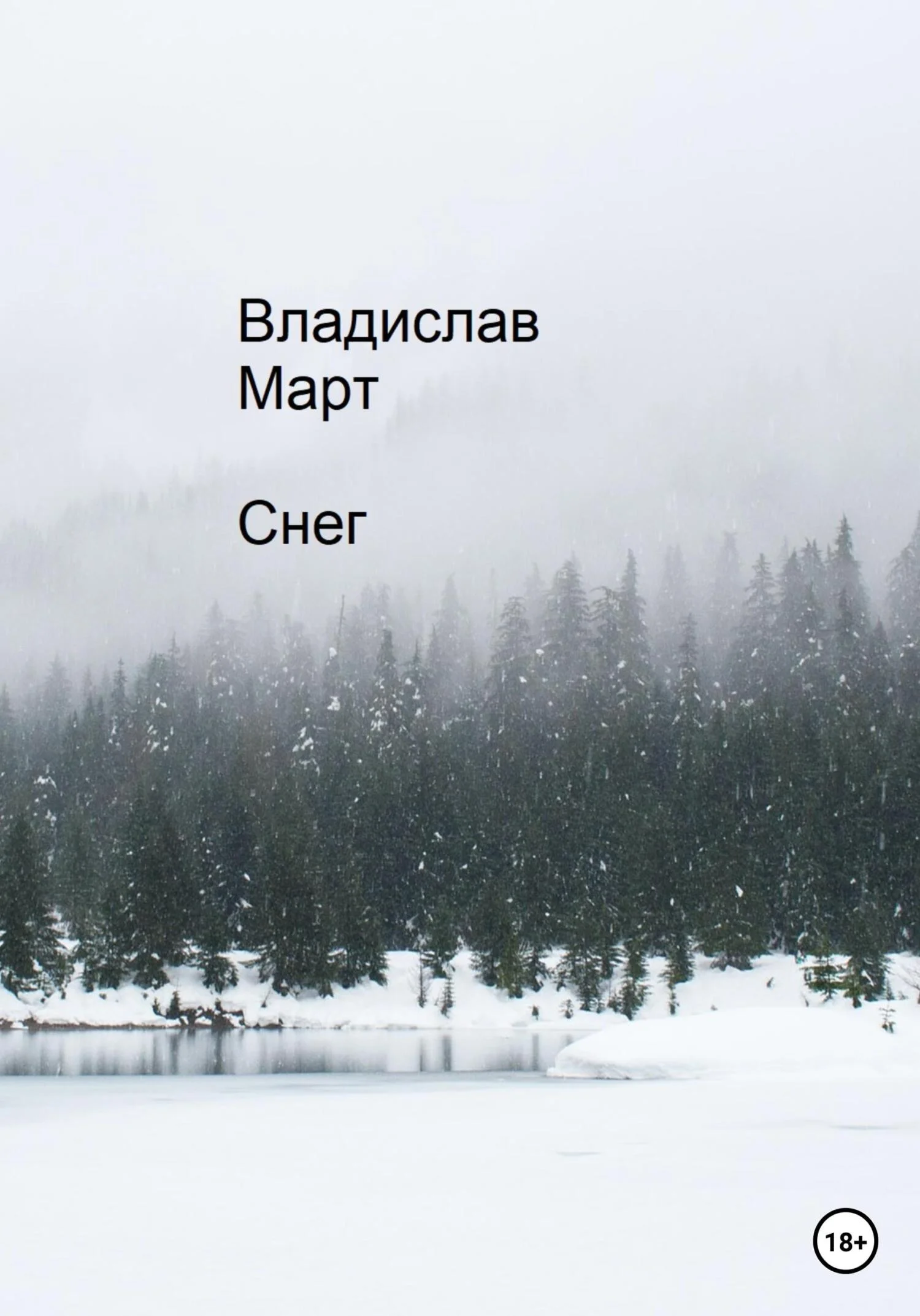 Обложка Снег