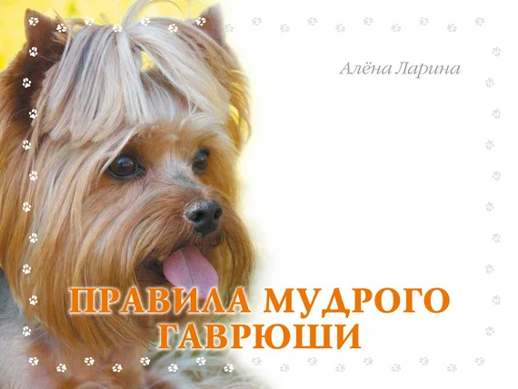 Обложка Правила мудрого Гаврюши