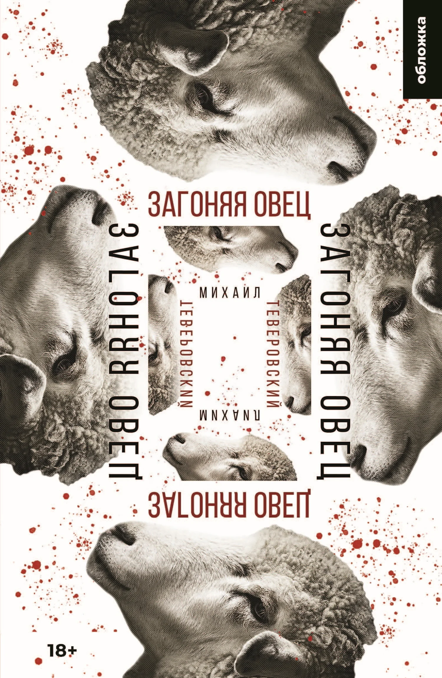 Обложка Загоняя овец