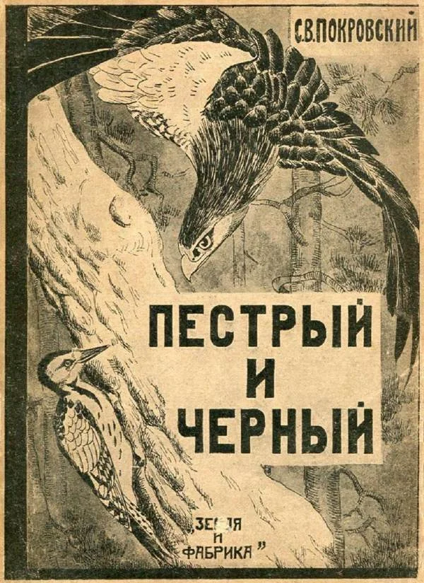 Обложка Пестрый и Черный
