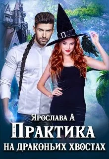 Обложка Практика на драконьих хвостах. Книга 1