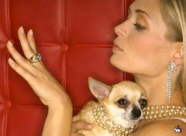 Обложка Маленькие сокровища