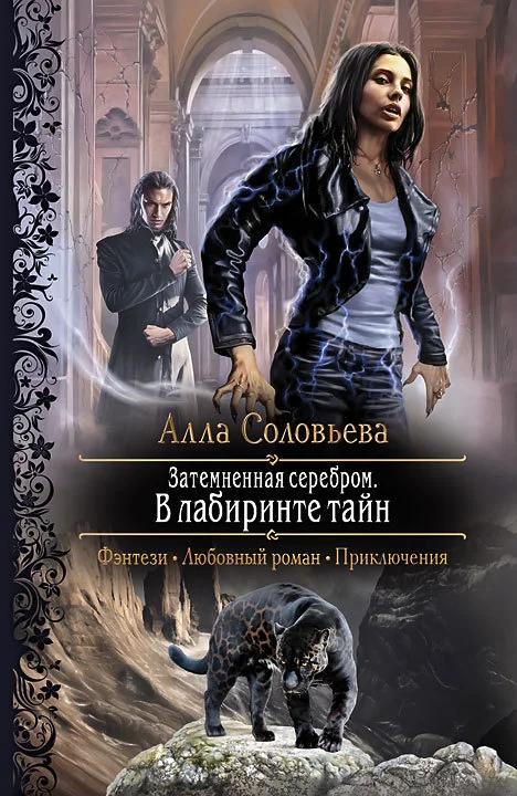 Обложка Затемненная серебром. В лабиринте тайн