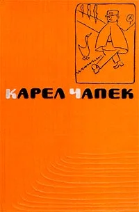 Обложка С точки зрения кошки