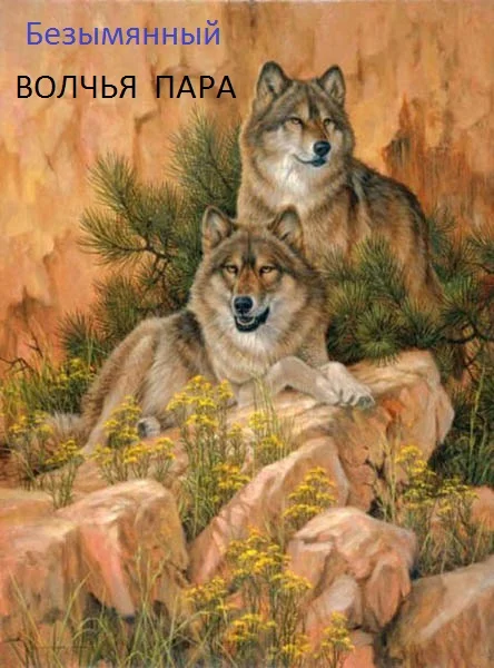 Обложка Волчья пара