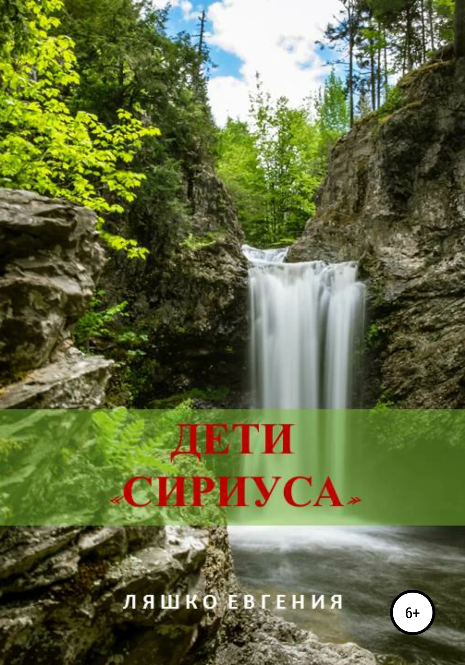 Обложка Дети «Сириуса»