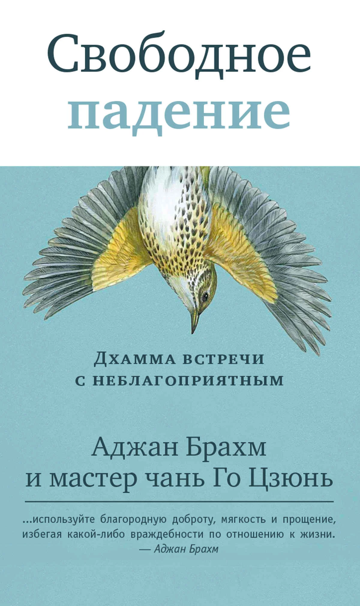 Обложка Свободное падение. Дхамма встречи с неблагоприятным