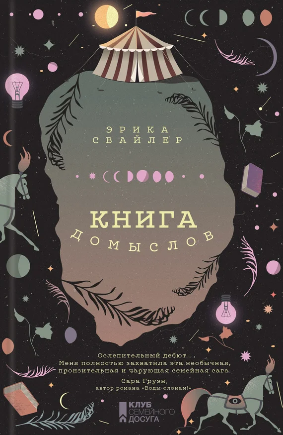 Обложка Книга домыслов