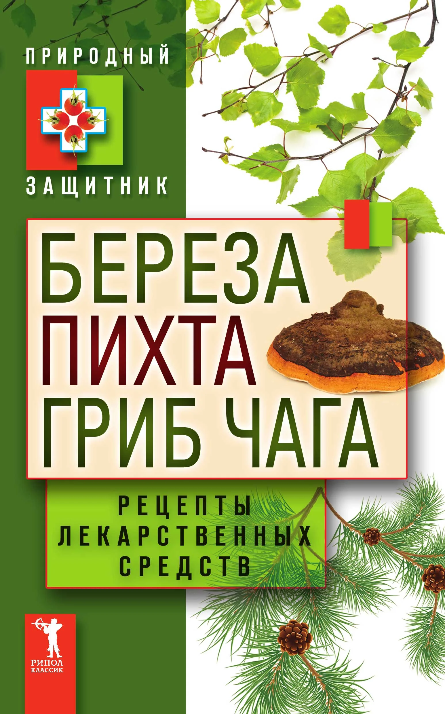 Обложка Береза, пихта и гриб чага. Рецепты лекарственных средств