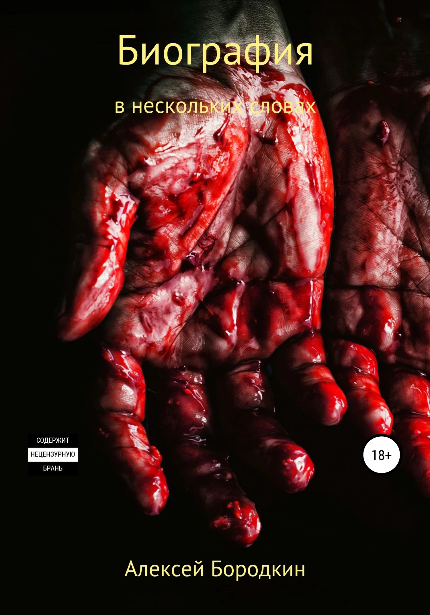 Обложка Биография в нескольких словах