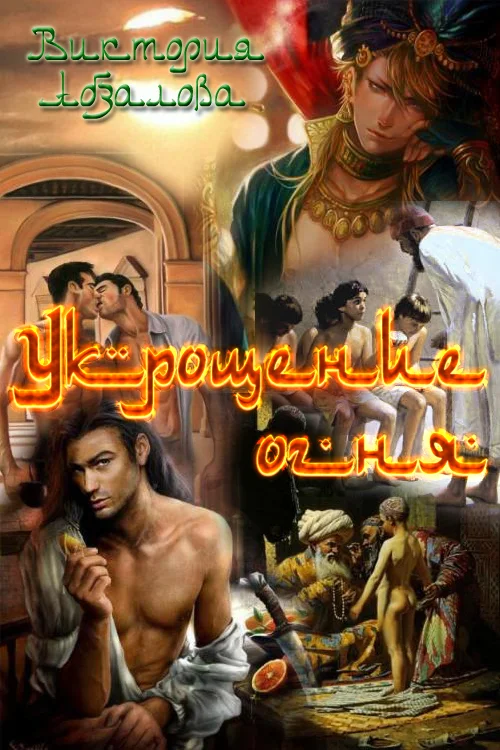 Обложка Укрощение огня