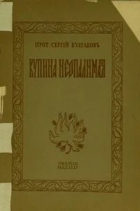 Обложка Купина неопалимая