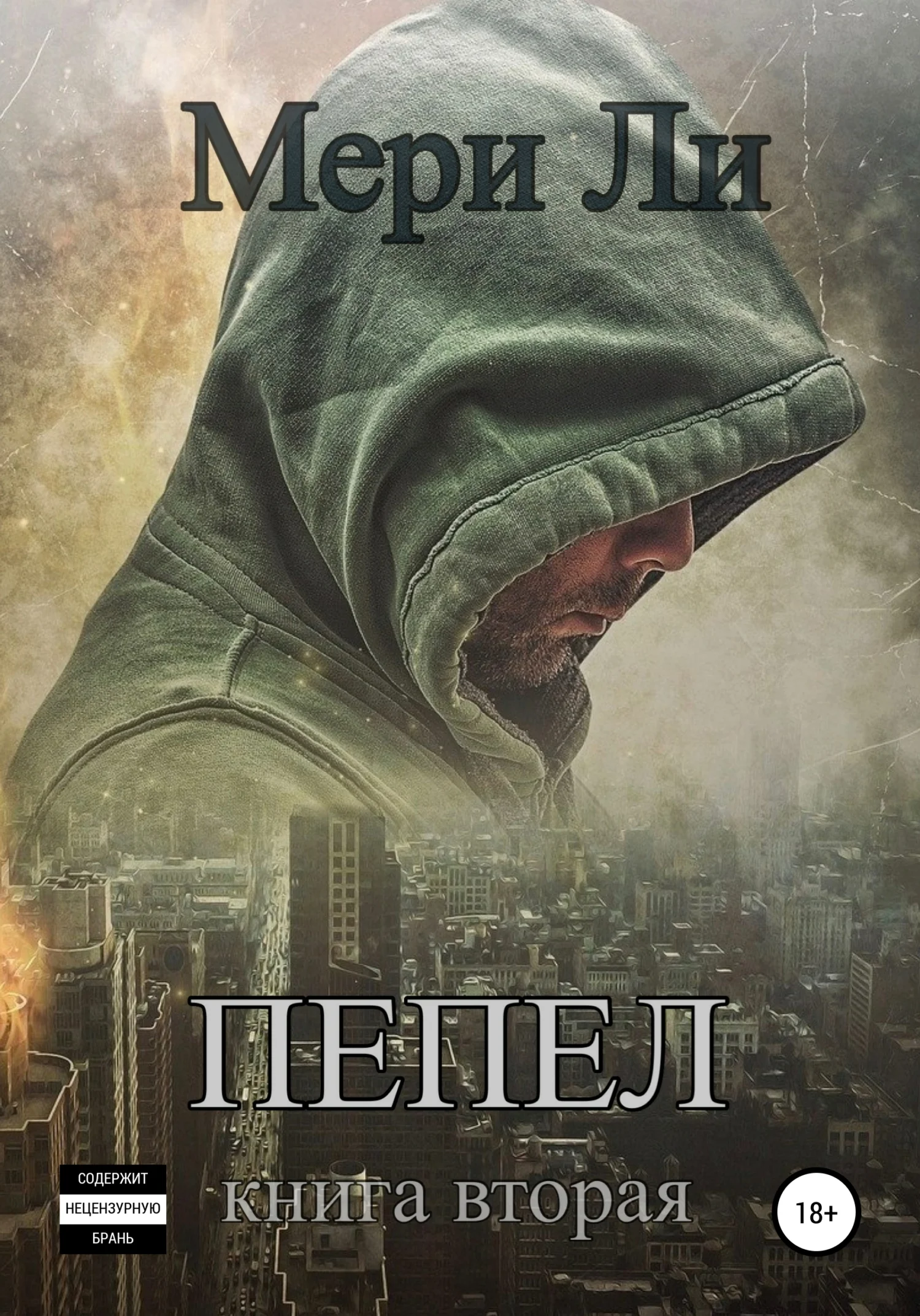 Обложка Пепел. Книга вторая