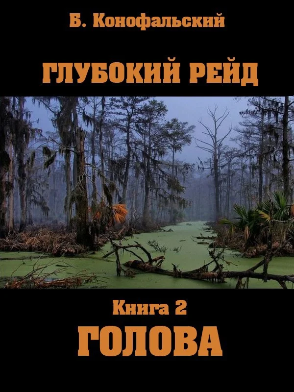 Обложка Глубокий рейд. Голова