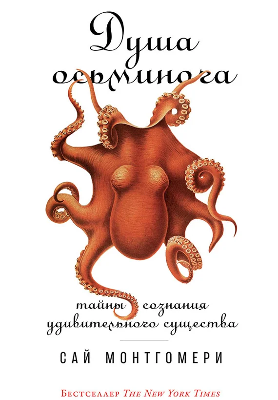 Обложка Душа осьминога