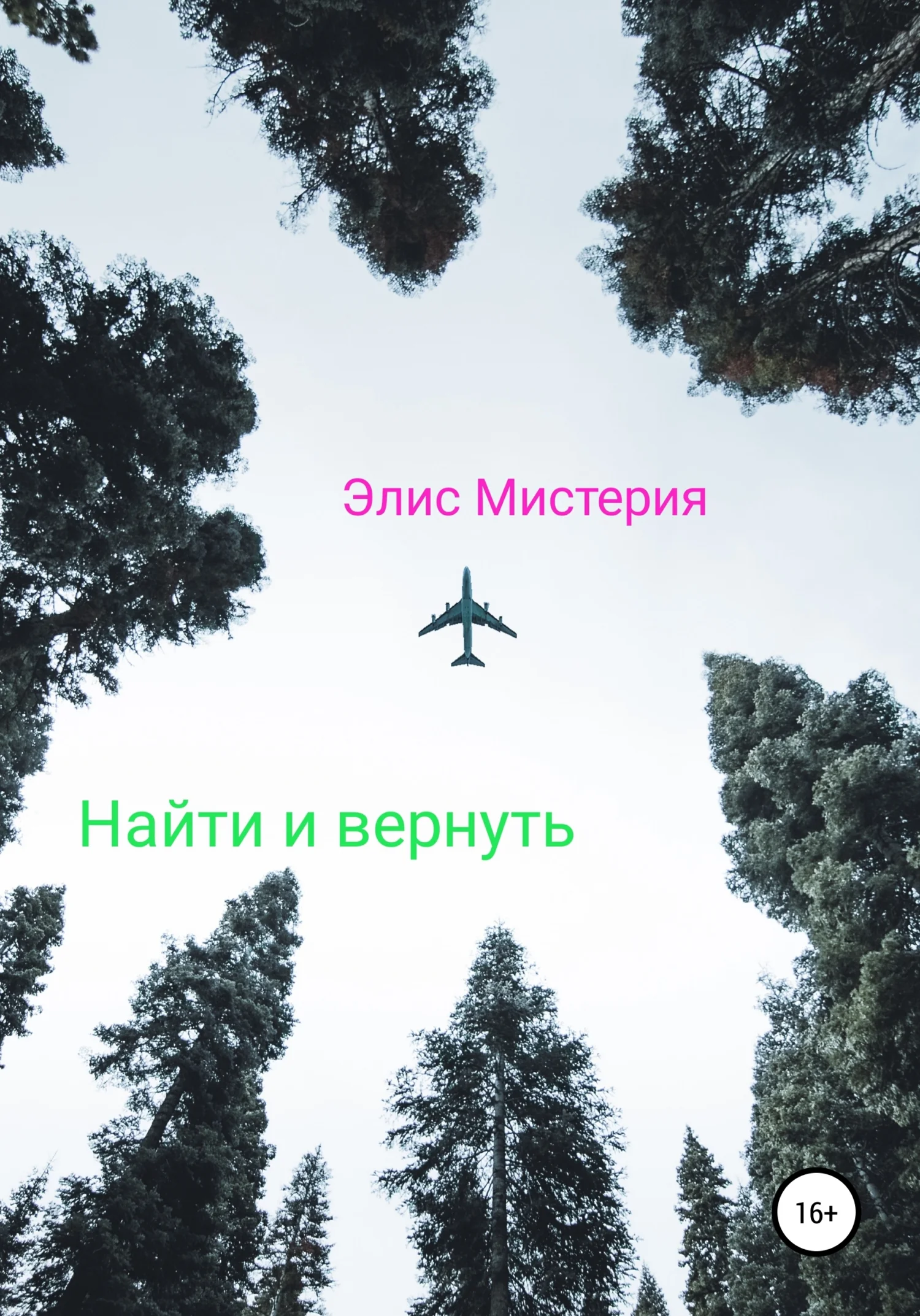 Обложка Найти и вернуть