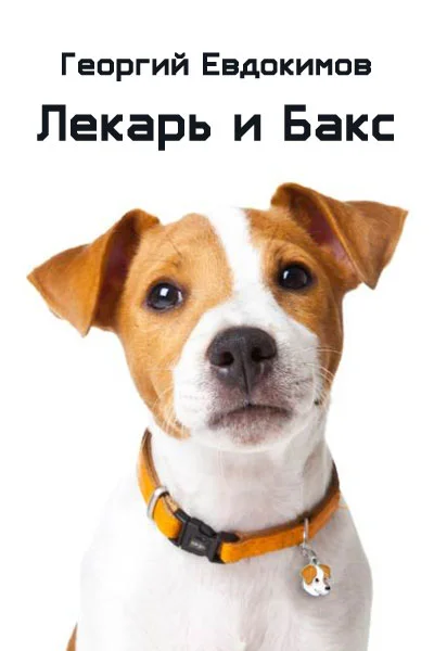 Обложка Лекарь и Бакс