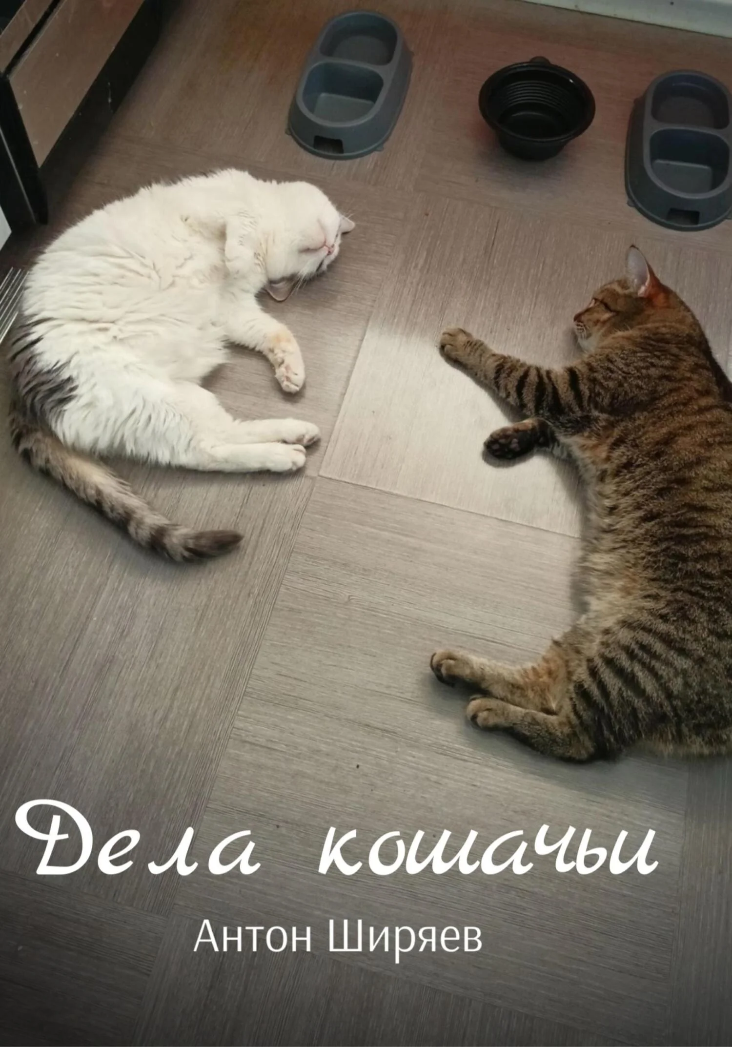 Обложка Дела кошачьи