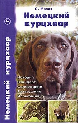 Обложка Немецкий курцхаар от А до Я