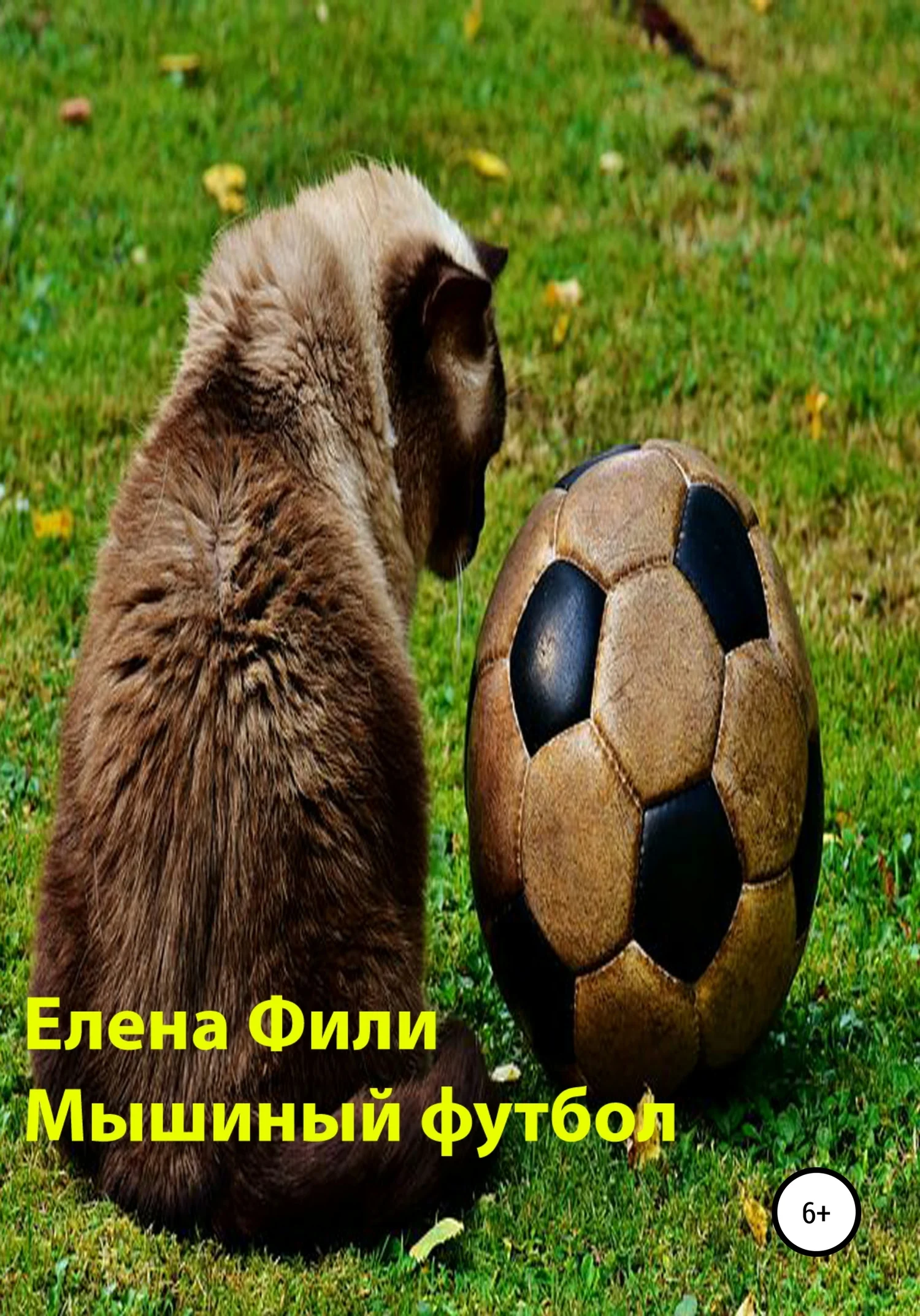 Обложка Мышиный футбол