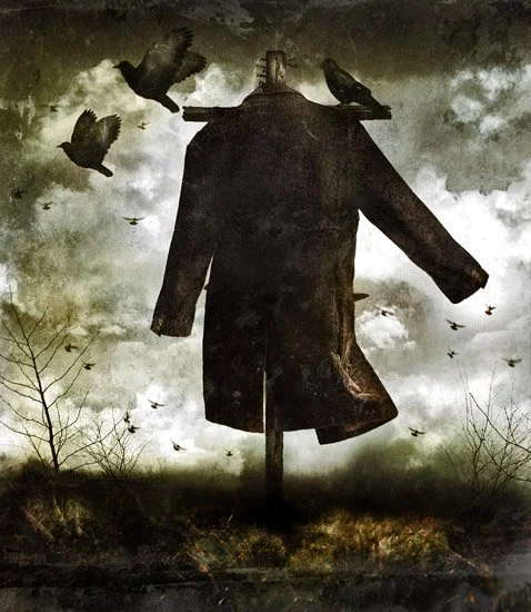 Обложка Воронье пугало (СИ)