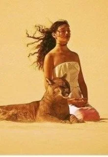 Обложка Оборотень на диете или я ушла, и все наелись