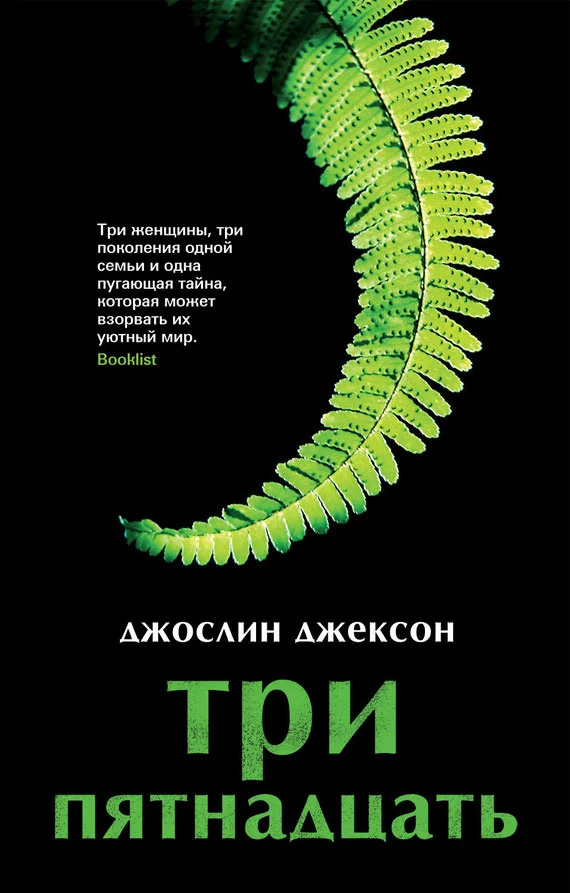 Обложка Три пятнадцать