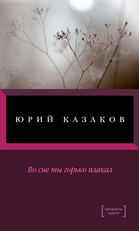 Обложка Во сне ты горько плакал