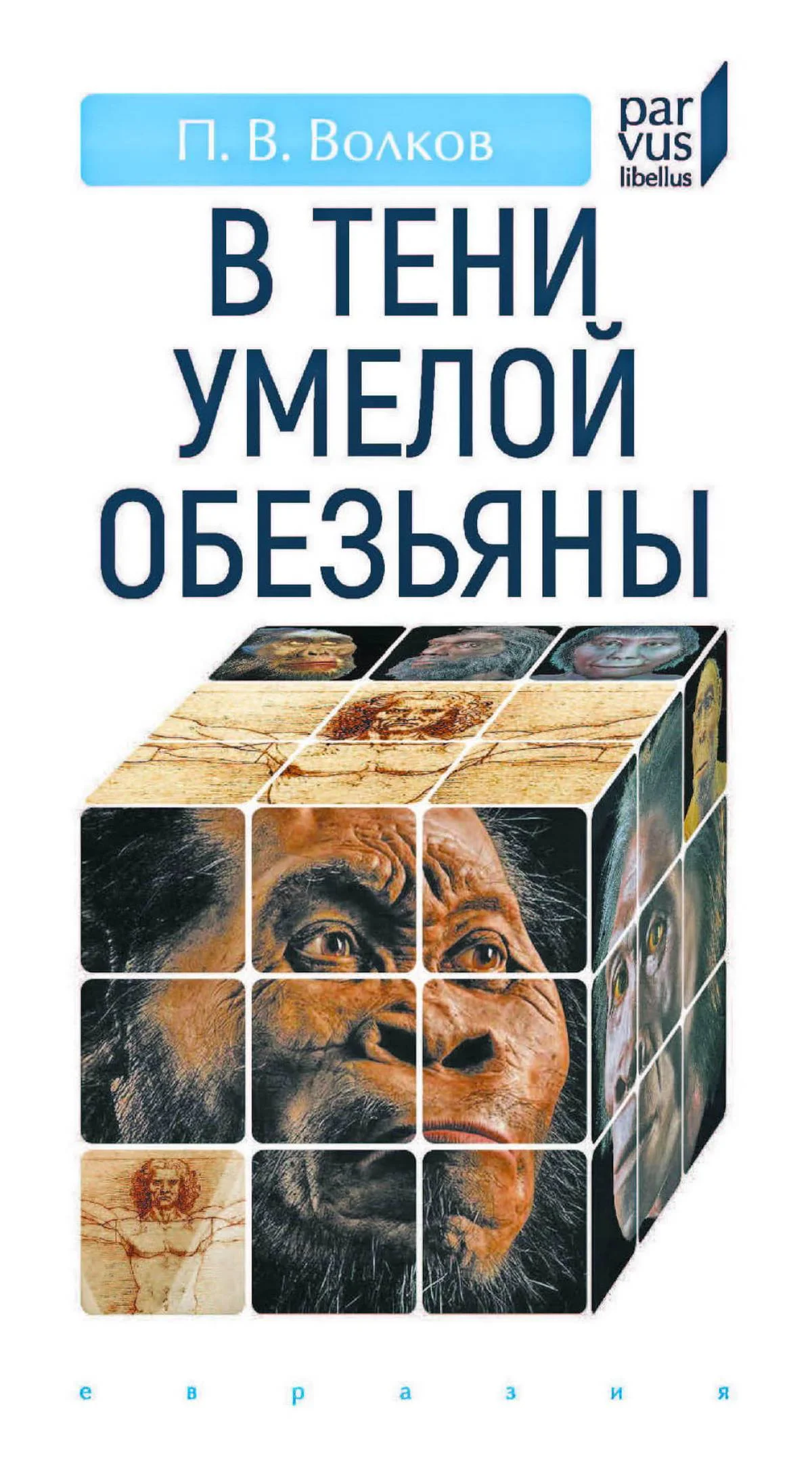 Обложка В тени умелой обезьяны