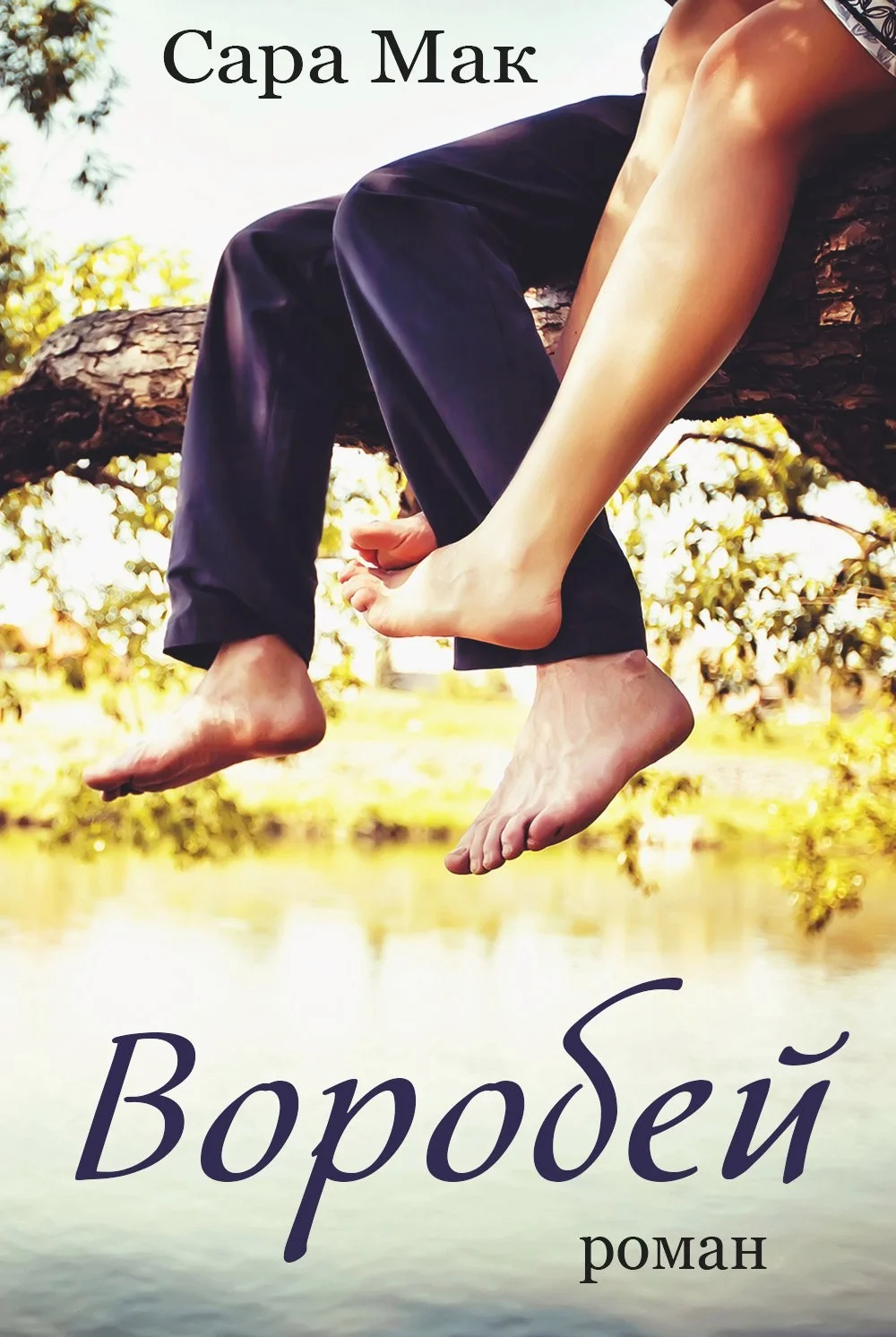 Обложка Воробей