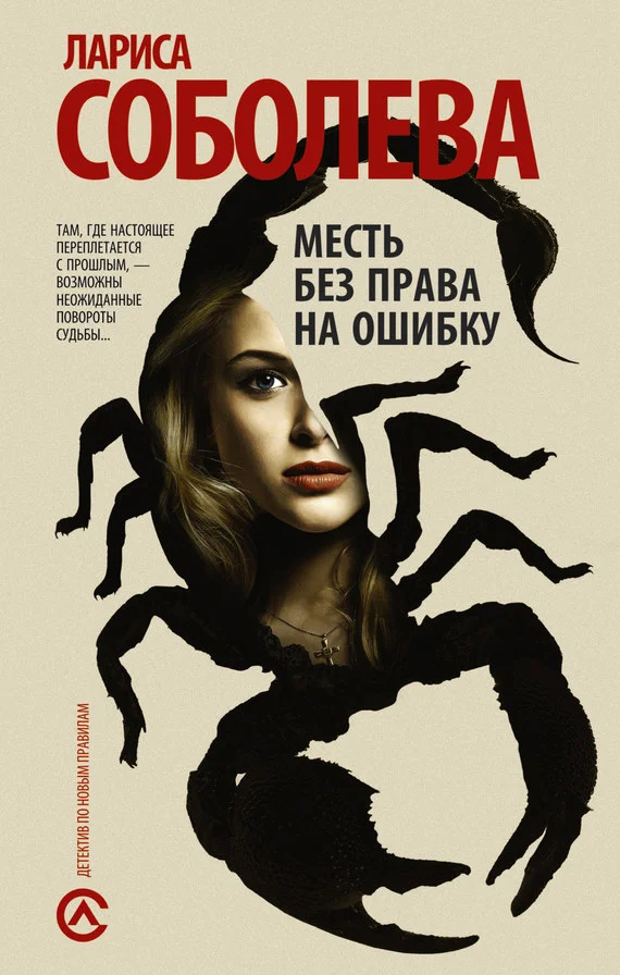 Обложка Месть без права на ошибку