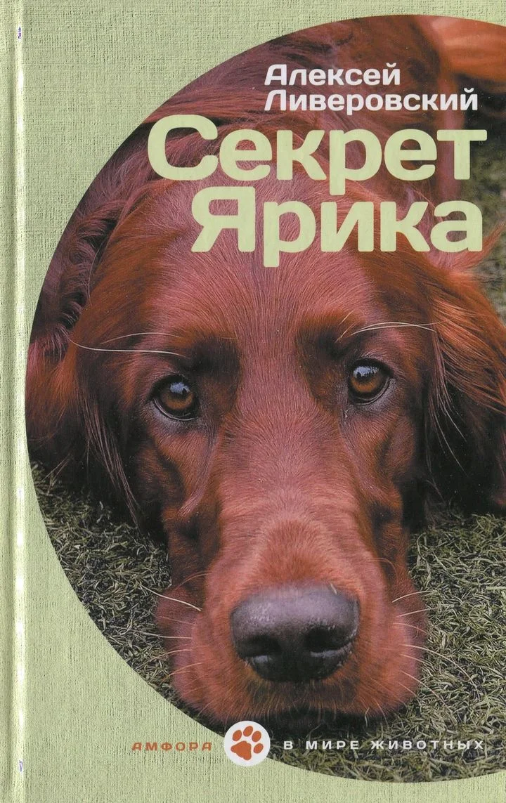 Обложка Секрет Ярика