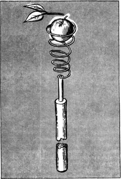 Обложка Что собрали - сохраним