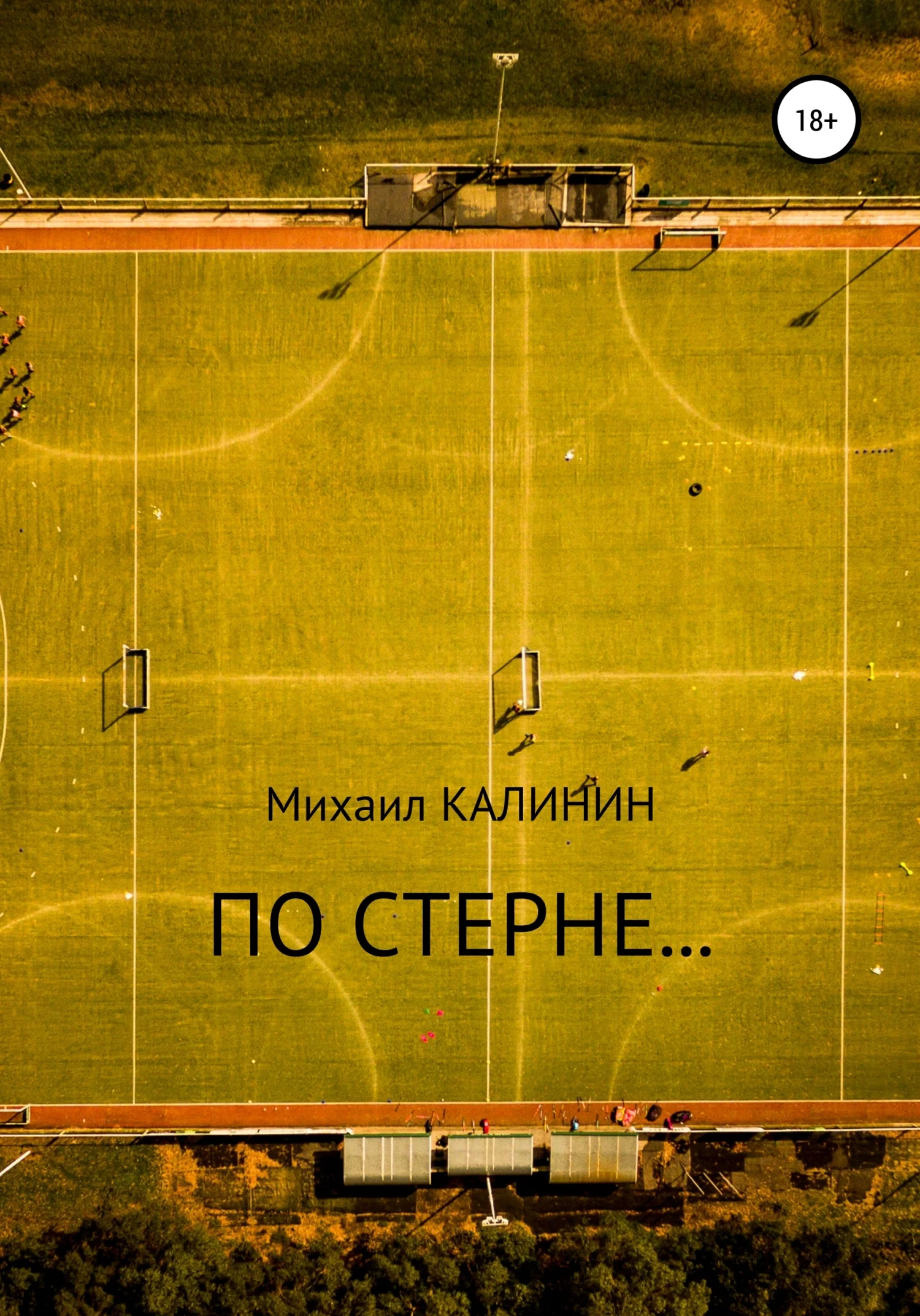 Обложка По стерне…