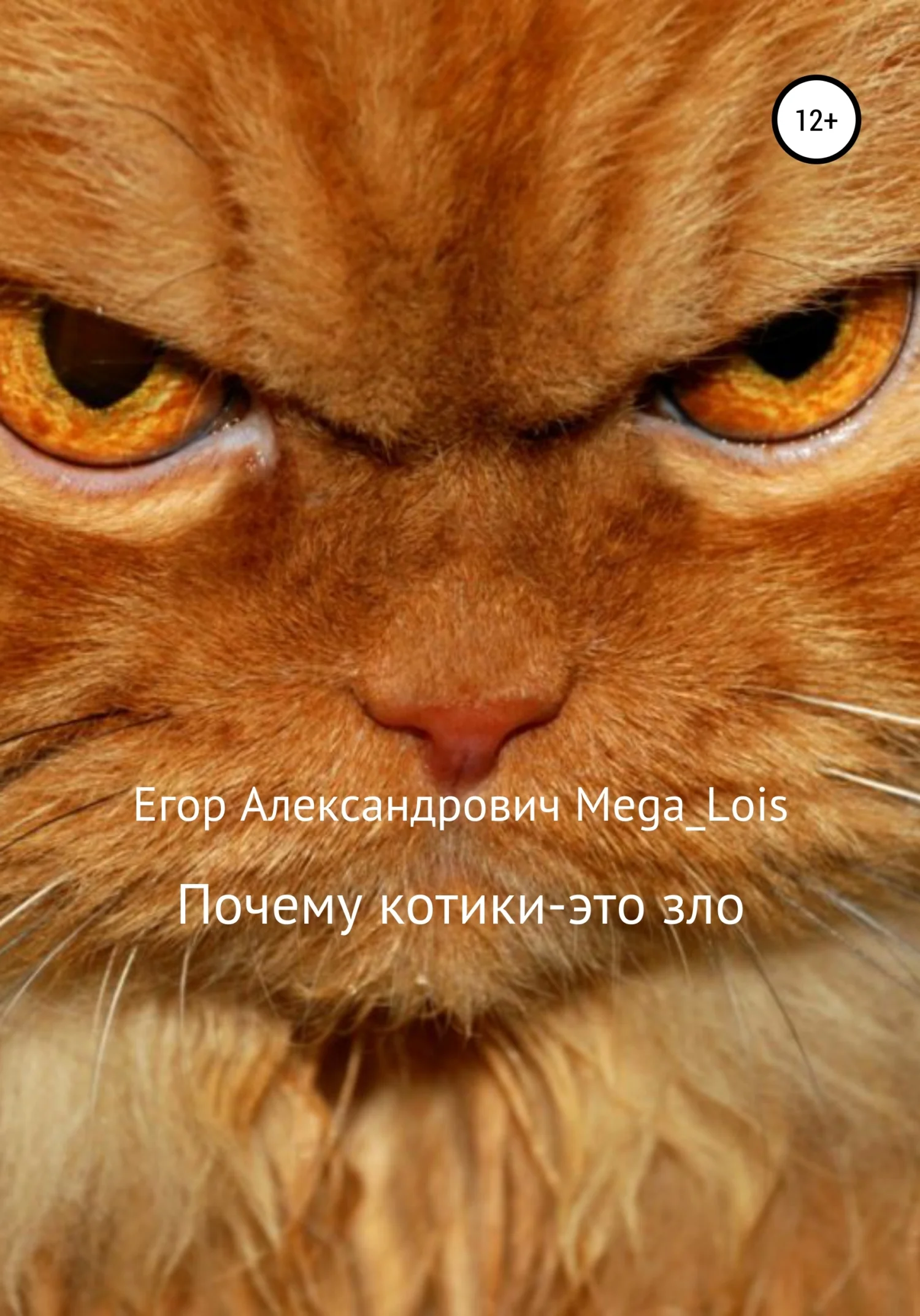 Обложка Почему котики-это зло