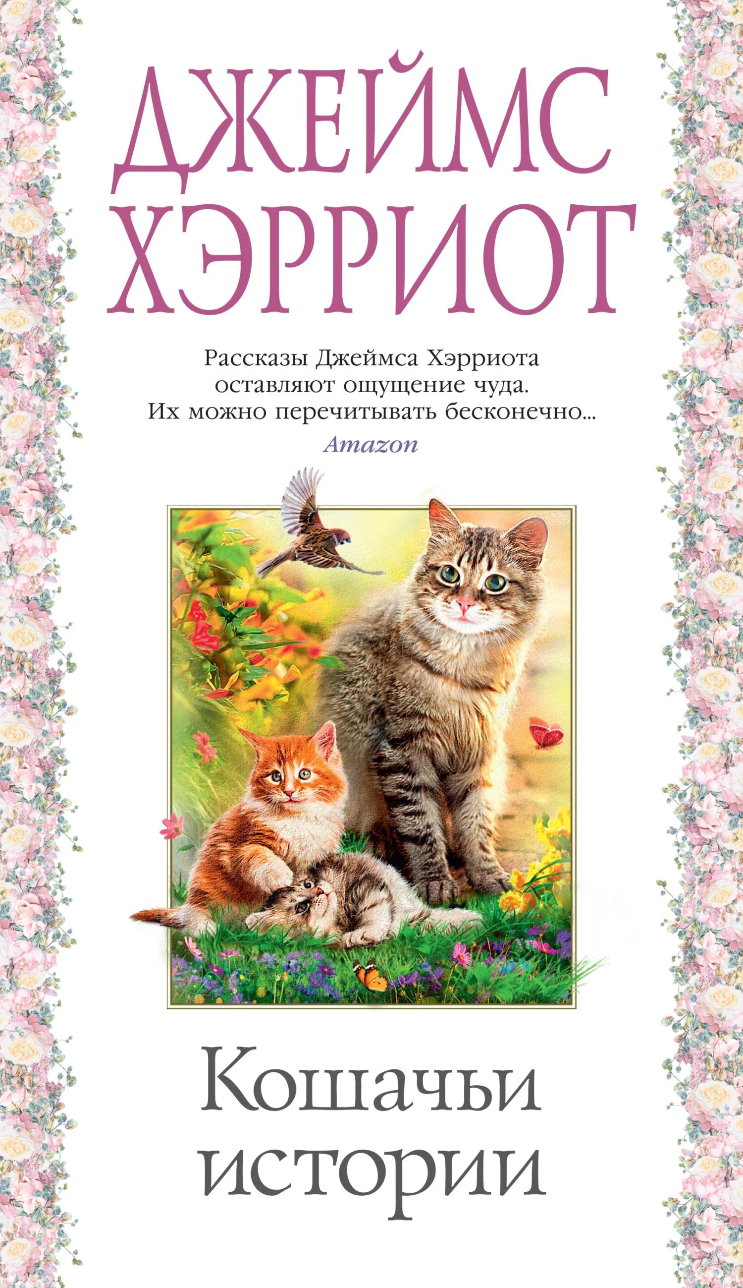 Обложка Кошачьи истории