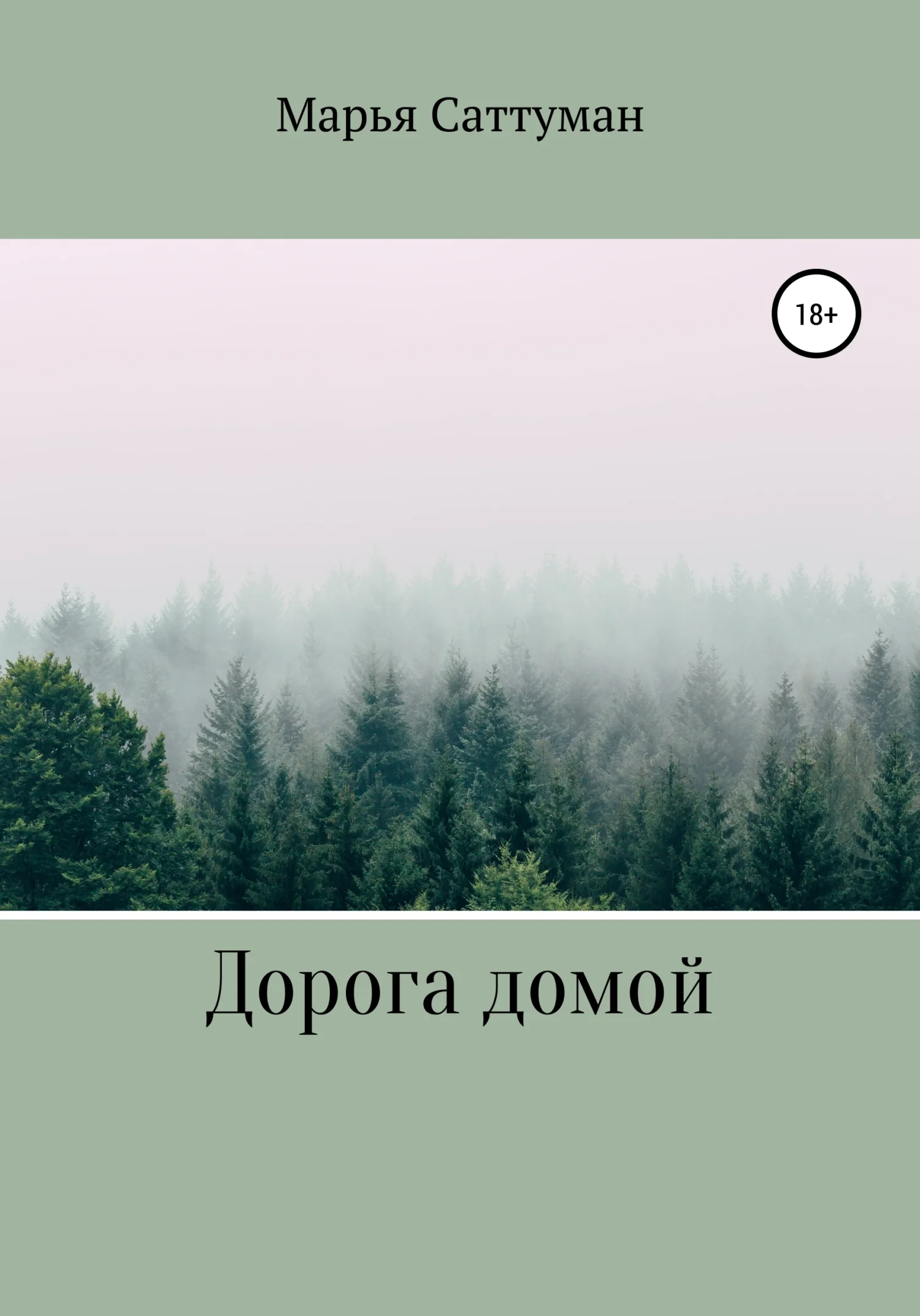 Обложка Дорога домой