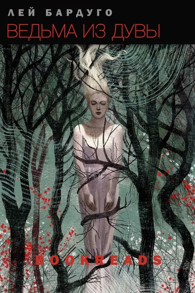 Обложка Ведьма из Дувы