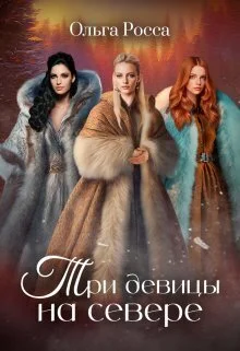 Обложка Три девицы на севере