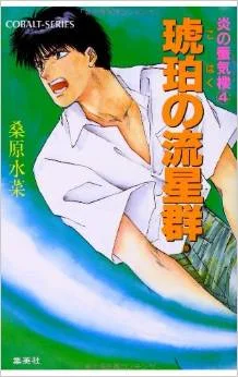 Обложка Янтарный звездопад